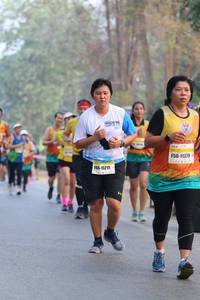 BIB: 201, 11379, 15215
                            <button type="button" onclick="openModal(10413313)" class="btn btn-primary btn-sm float-right btn-popup" data-toggle="modal" data-target=".modal-high-quality">
                        <i class="fas fa-shopping-cart"></i> Add to Cart
                    </button>
                                            <button type="button" onclick="isThisMe(10413313, true)" class="btn btn-success btn-sm float-right btn-popup btn-isme hidden" data-toggle="tooltip" data-placement="bottom" title="นี่คือรูปของคุณใช่ไหม คลิกที่นี่เพื่อเอาเข้าอัลบั้ม">
                        <i class="fas fa-plus"></i> Add to album
                    </button>
                    <button type="button" onclick="isThisMe(10413313, false)" class="btn btn-warning btn-sm float-right btn-popup btn-isnotme hidden">
                        <i class="fas fa-ban"></i> Remove from album
                    </button>